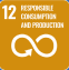 SDG 12